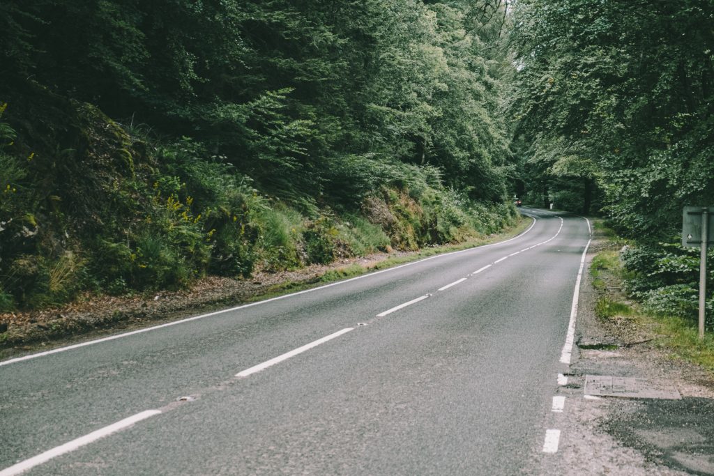 una strada con strisce bianche a due corsie e un bosco