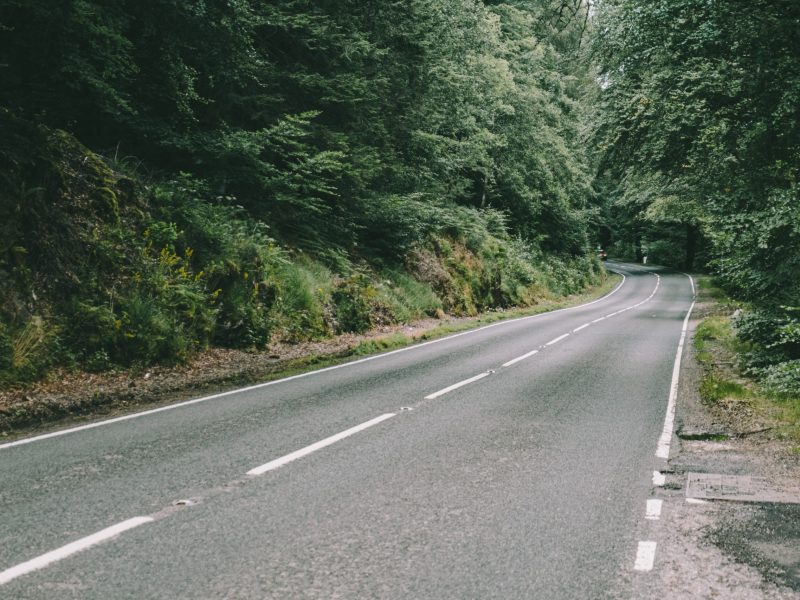 una strada con strisce bianche a due corsie e un bosco